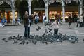 venise 078